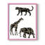 Reproduction encadrée d'animaux en safari ornementaux III-1491457594-1491457596