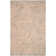 Coyer Performance Oriental Rug