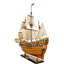Mayflower de haute qualité Guadalupe