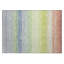 Tapis intérieur / extérieur lavable à la machine Chantille ACN2313-1985960947