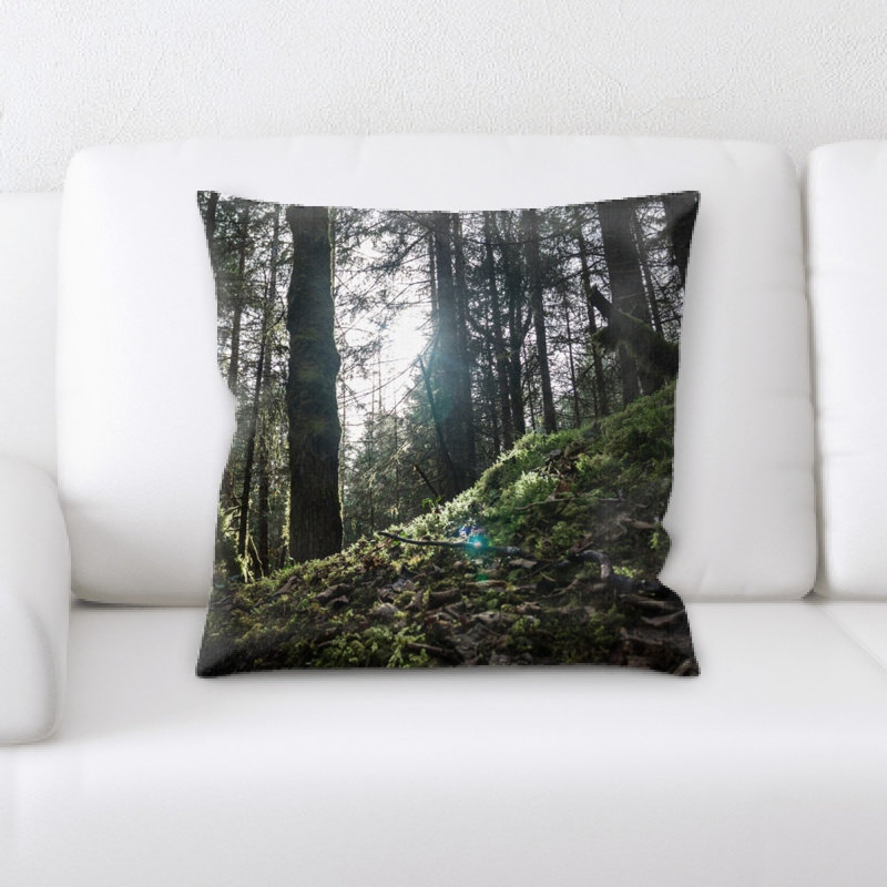 Coussin décoratif Alviso