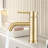 Bathroom Faucet with Drain Assembly