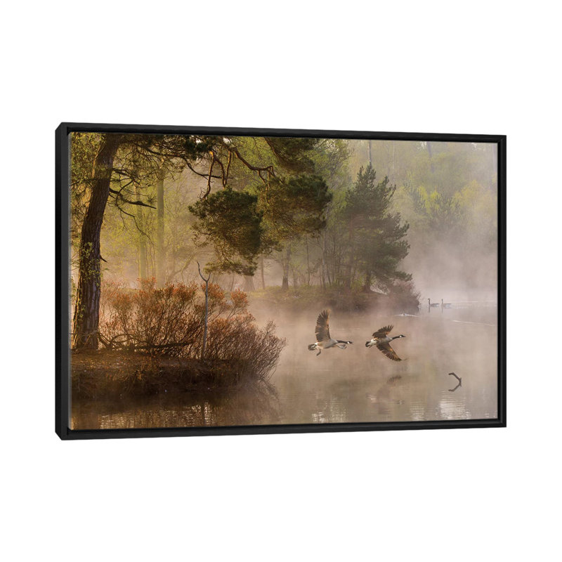 «Goose Fight», reproduction de photo sur toile, H 18 po x l 26 po x P 1,5 po, Toile encadrée noire, Pas de tapis