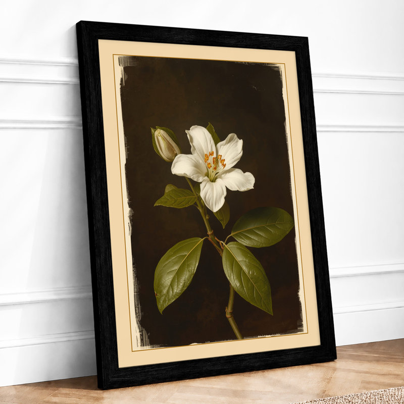 Pale Bloom Study Botanical - Framed Print, A4 - 29.7 x 21.0 cm, Black