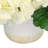 Hydrangeas and Ivy in Ceramic Vase