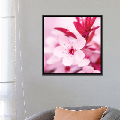 «Pink Blossom I» par PhotolNC Studio, reproduction de photo sur toile tendue