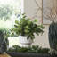 Vase et accent d'eucalyptus Uttermost Essence