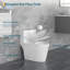 Toilette allongée monobloc 1,1 / 1,6 GPF à double chasse 12 po