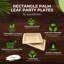 Assiette plate Palm Leaf