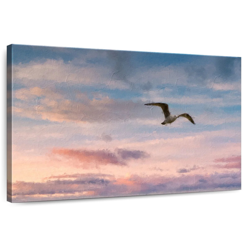 Oiseau dans le ciel