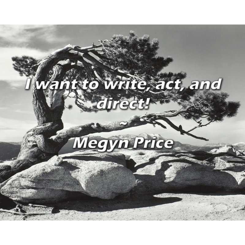 Megyn Price Quote: Je veux écrire, jouer et diriger!, H 20 po x l 24 po