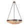 Oyster Shell 6 - Light Chandelier