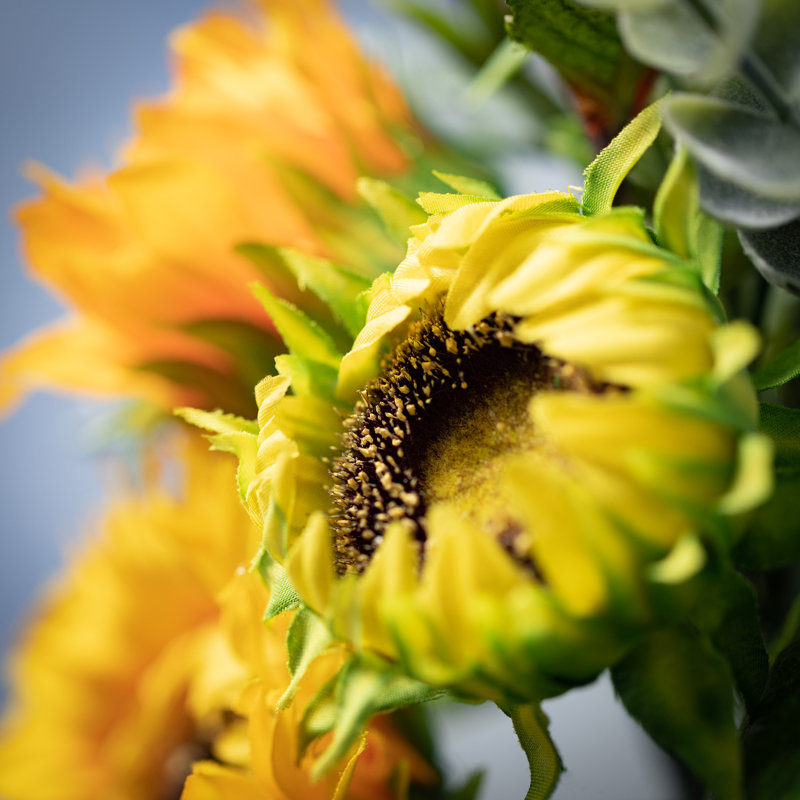 Camomille tournesol 21 po; jaune