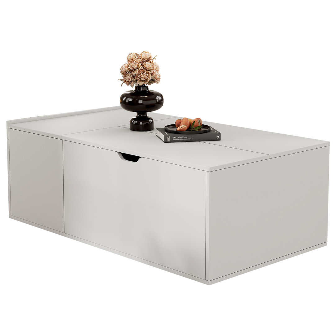 Lift Top Coffee Table with Storage