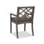 Outdoor Patio Dining Armchair with Cushion-736536818