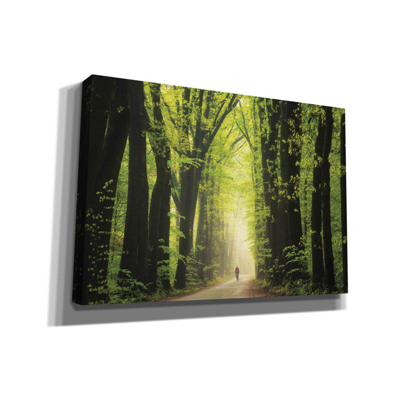 «Parmi les géants au printemps» par Martin Podt, art mural sur toile, H 18 po x l 26 po x P 0,75 po