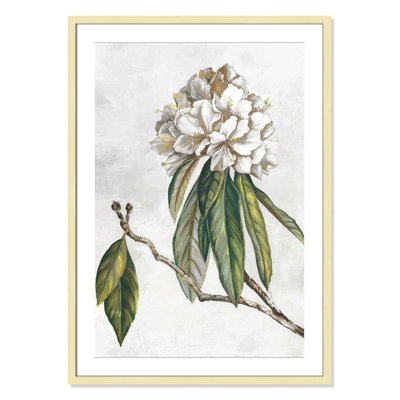 «Pearly Beauty II» par Eva Watts