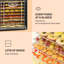 Klarstein Jerky 700W Food Dehydrator