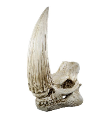 Star Wars Mudhorn Skull - The Mandalorian - Décoration murale robot royal