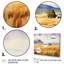 Wyoming, prairies jaunes - art mural Wyoming-199613740-199613743
