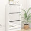 Armoire à chaussures 3 niveaux en bois avec miroir, pour maison et appartement, blanc mat, tiroir escamotable blanc