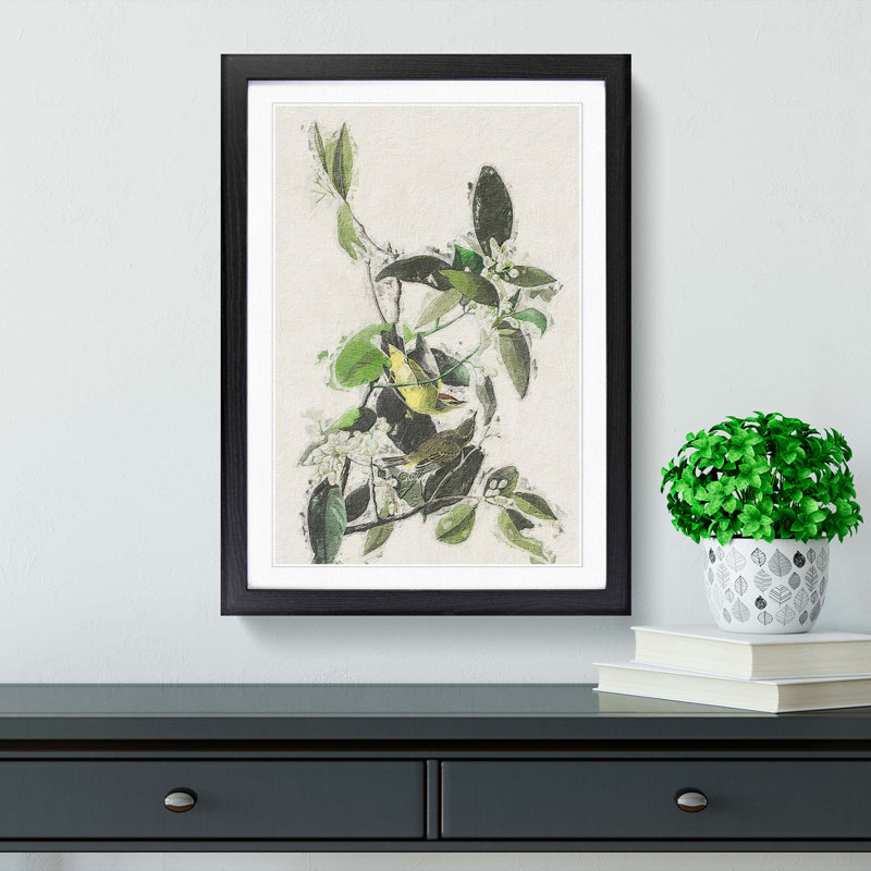 Palm Warbler by John Audubon - Framed Print, 36cm H x 27cm W x 2cm D, Black Framed