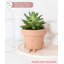 Cute Pots Pot Planter