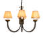 Ploeger 6 - Light Chandelier