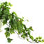 Verdant Vines Faux Ivy Plant in Ceramic Vase
