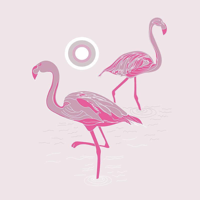 Ensemble de housse de couette pour grand lit DiaNoche en microfibre par Yasmin Dadabhoy - Flamant rose 1