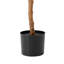 Amee 61" H Creative Shaped Faux Ficus Tree in Pot