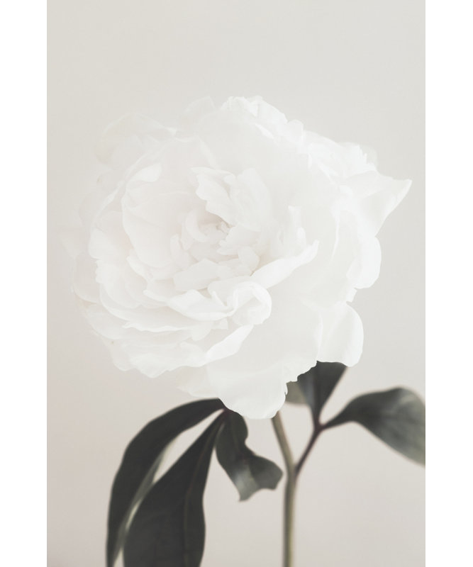 Wrapped Canvas Print, 50.8 cm H x 76.2 cm W
