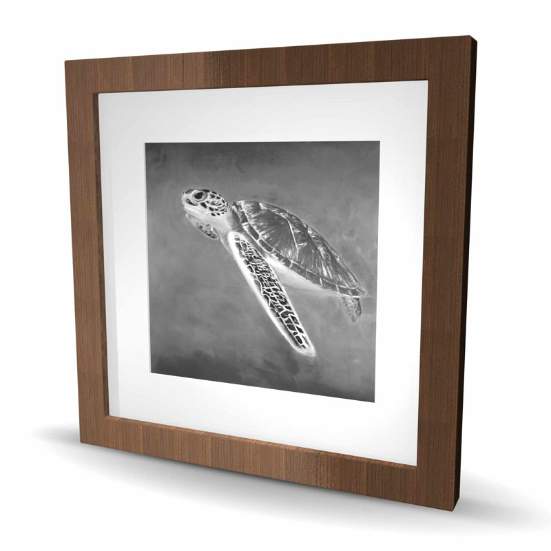 Tortue de mer en niveaux de gris - décor encadré mat marine, Brun