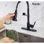 Rainlex Pull Down Kitchen Faucet