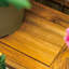 Rangement pour bonsaï Garden-108071824-108071823