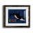 " Orca "-107882176-107882239