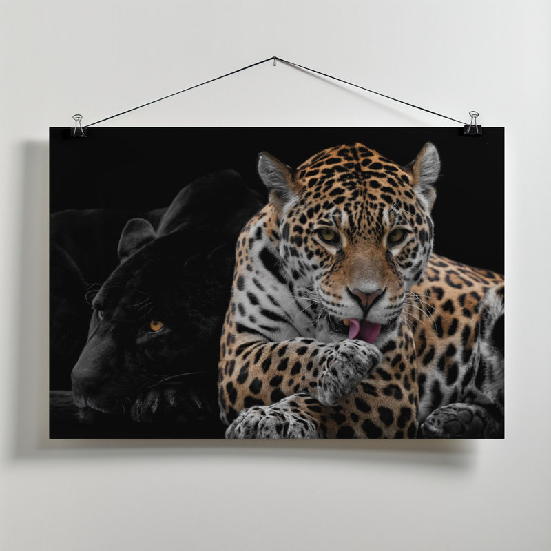 Wrapped Canvas Print, 60.96 cm H x 91.44 cm W