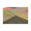 Gabbeh Wool Area Rug
