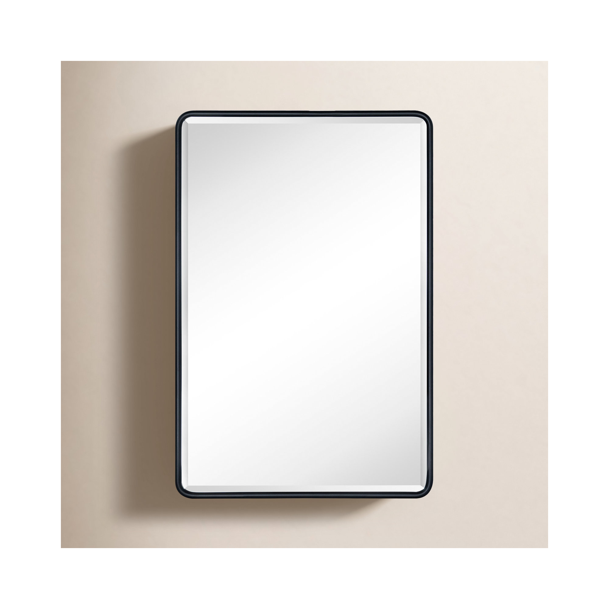 Bryand Farmhouse Surface Mount Metal Bathroom Medicine Cabinets with Mirror, 24" x 16", Matte Black