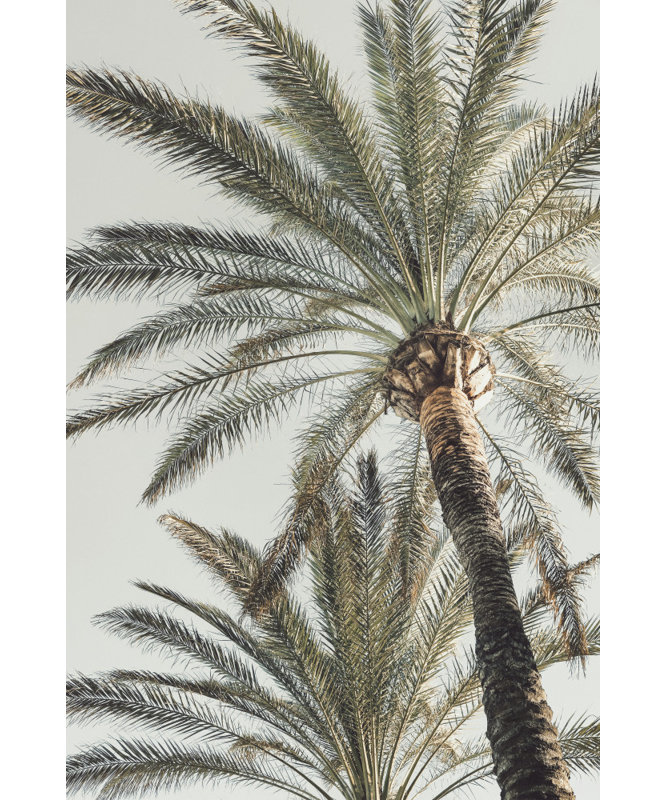 Wrapped Canvas Print, 60.96cm H x 91.44cm W