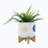Wynand Ceramic Pot Planter