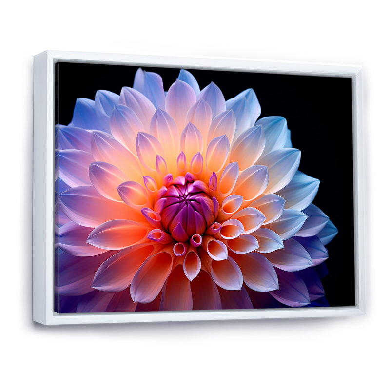 Dahlia rose étreinte efflorescente - imprimé, Cadre flottant blanc, H 16 po x l 32 po x P 1 po