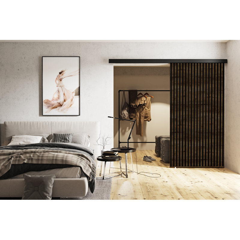 DOOR Belmo 1, Dark Ash, 66cm x 205cm