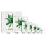 Aloe vera III - impression sur toile tendue-2007961664
