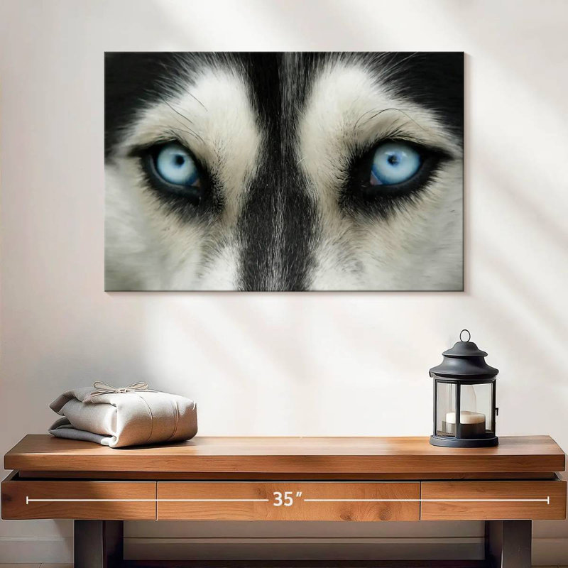 Husky Brampt aux yeux du ciel, H 16 po x l 24 po