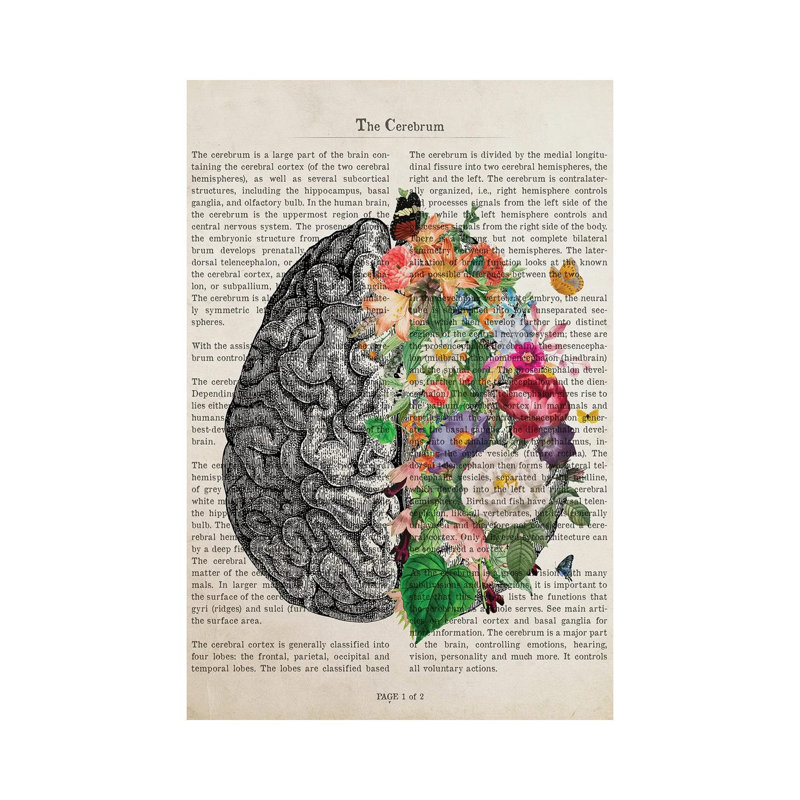 Brain Art Flower Anatomy Print by Aged Pixel - Wrapped Canvas Print, 101.6 cm H x 66.04 cm W x 1.91 cm D