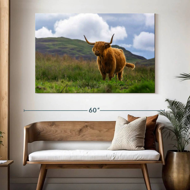 Scotland's Highland Cow, 34" H x 51" W