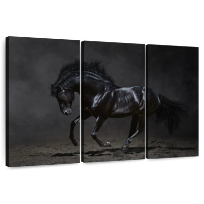 Brampt Shiny Black Horse