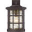 Lanterne murale d'extérieur à 1 ampoule Cayman H 17 po Cayman-1697857291