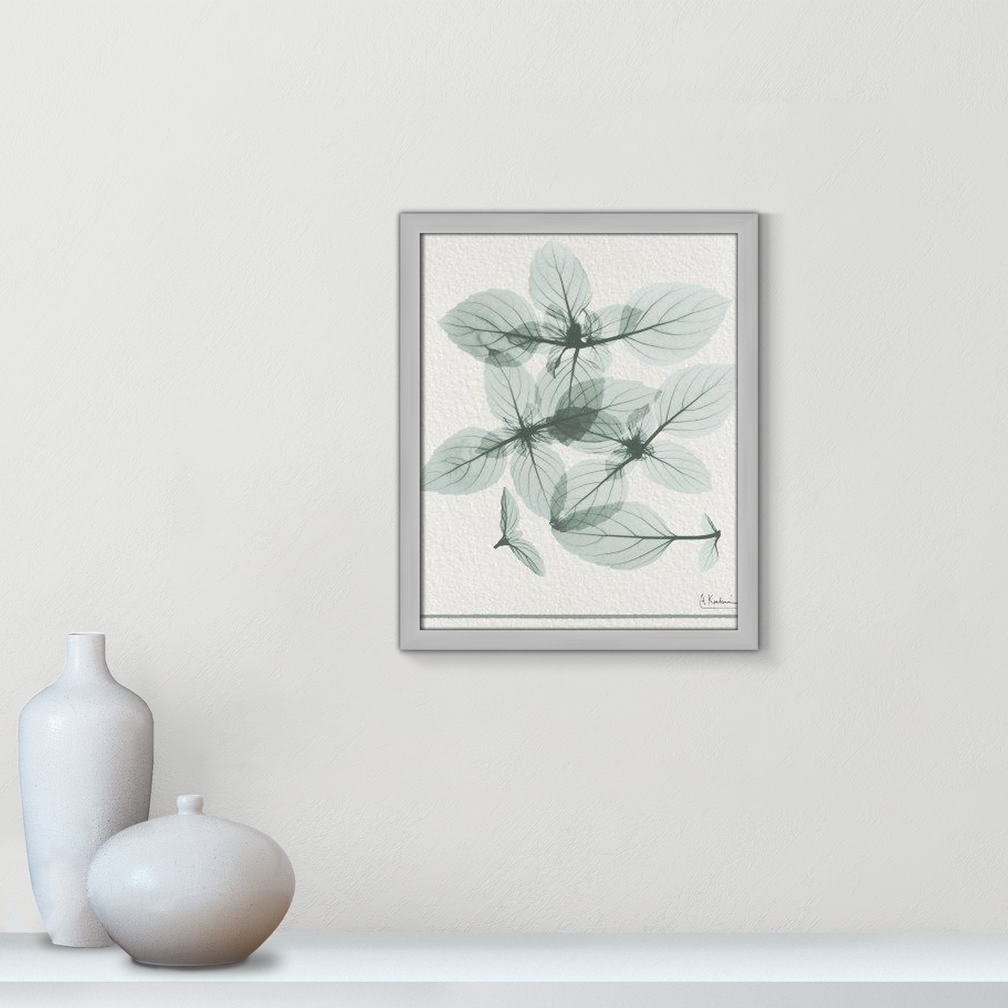 Basil Ocimum Basicicum Framed On Paper by Albert Koetsier Print, 19" H x 16" W x 1.25" D, Matte Silver Framed Paper